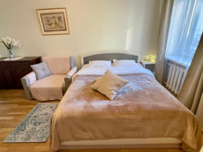 Cosy small apartment, free parking, near Old Town, Tallinn
